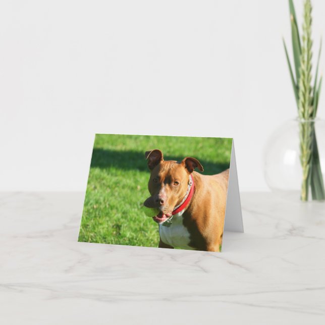 Carte à notes Dudley 2 (Devant)