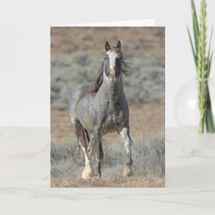 Carte à notes "Le vrai sauvage"