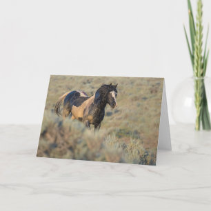 Carte à notes plus robuste que le reste"