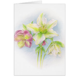 Carte à notes vert rose blanc floral Hellebore