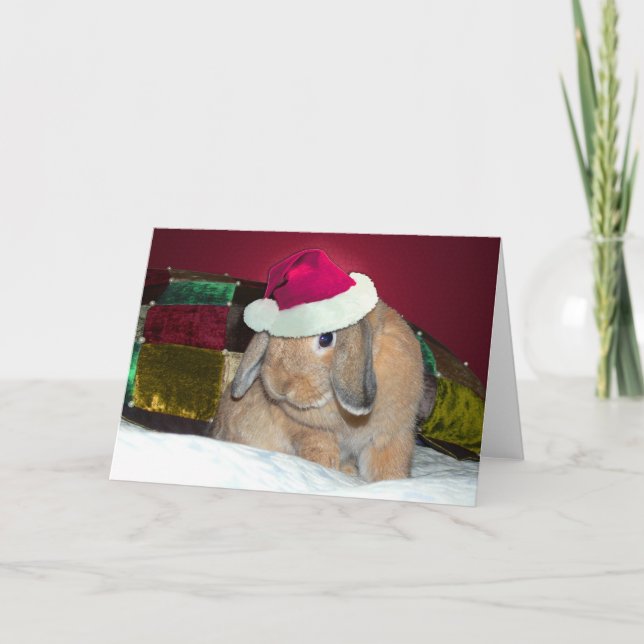 Carte à oreilles 1 de Noël de lapin de Lop (Devant)