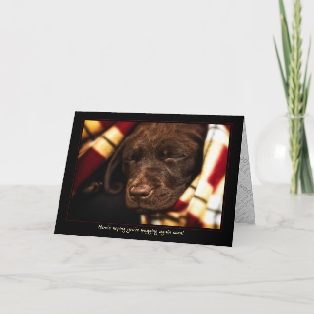Carte A-PAL -Labrador Retriever Puppy | Obtenir une cart (Devant)