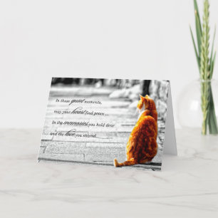Carte A-PAL - Orange Tabby Chat Pet Sympathie