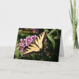 Carte à papillon noir Swallowtail