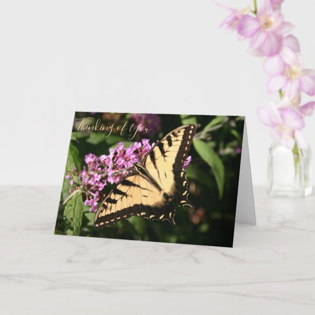 Carte à papillon noir Swallowtail (Orchidée)