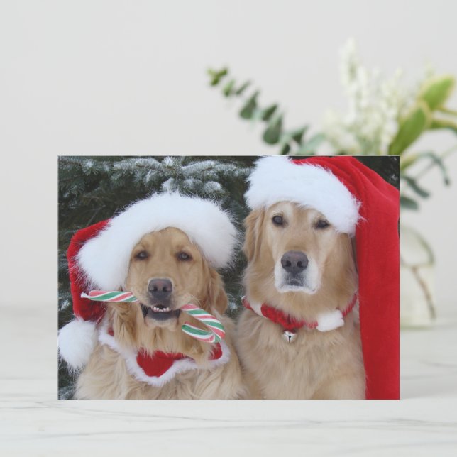 Carte à plat de Noël Golden Retrivers (Debout devant)