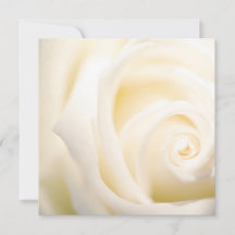 Carte à plat souple Rose