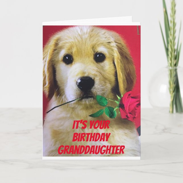 CARTE *A ROSE* FOR MY GRANDDAUGHTER "YOUR BIRTHDAY CARD (Devant)