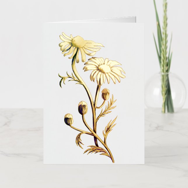 Carte à thème à fleurs Chamomille (Recto)