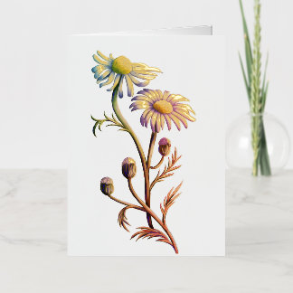 Carte à thème à fleurs Chamomille