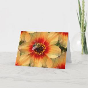 Carte Abee sur Dahlia