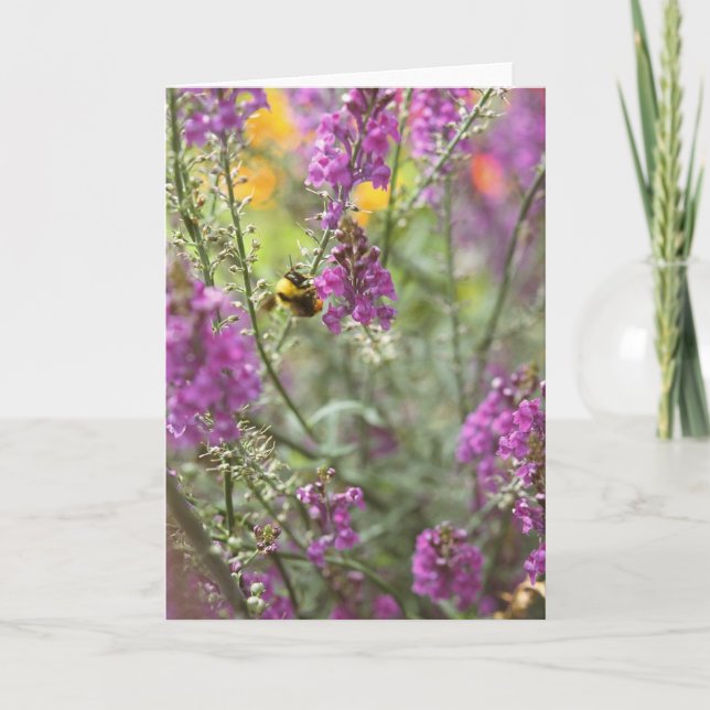 Carte Abeille avec photo Fleur sauvage (Devant)