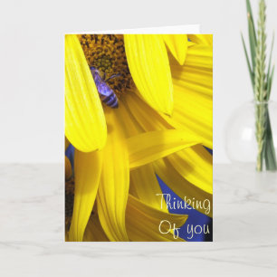 Carte Abeille bleue sur tournesol jaune - Penser à votre