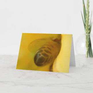Carte Abeille de miel
