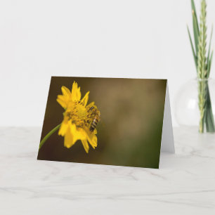 Carte Abeille de miel sur Fleur Jaune