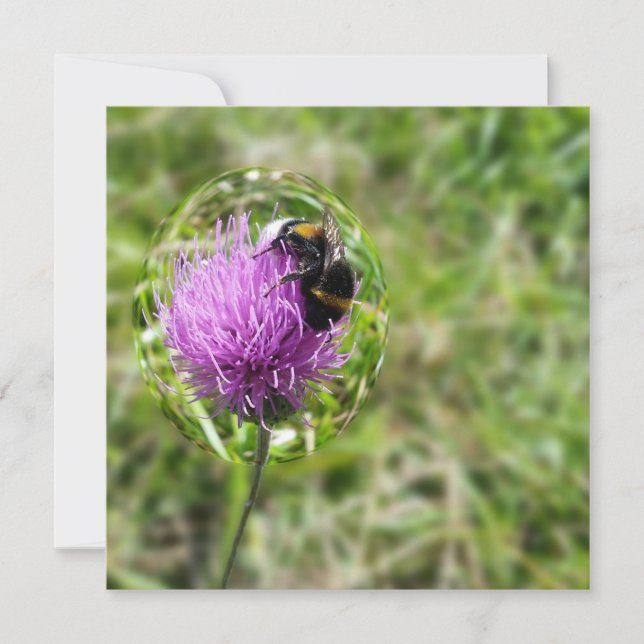 Carte Abeille en bulle (Devant)