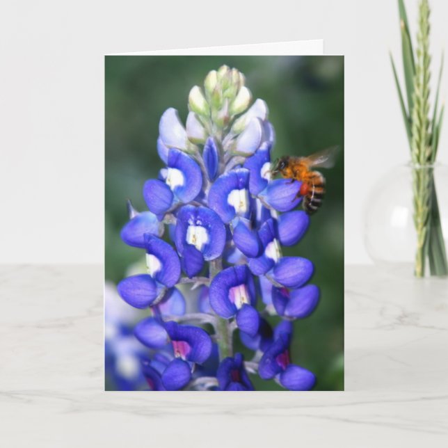 Carte Abeille et Bluebonnet (Devant)