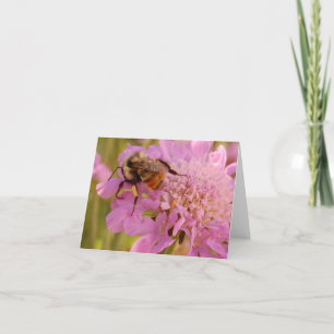 Carte Abeille sur la fleur