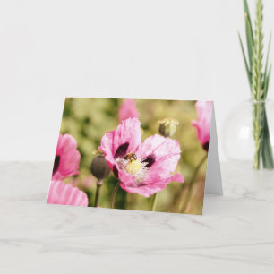 Carte Abeille sur la note rose de pavot