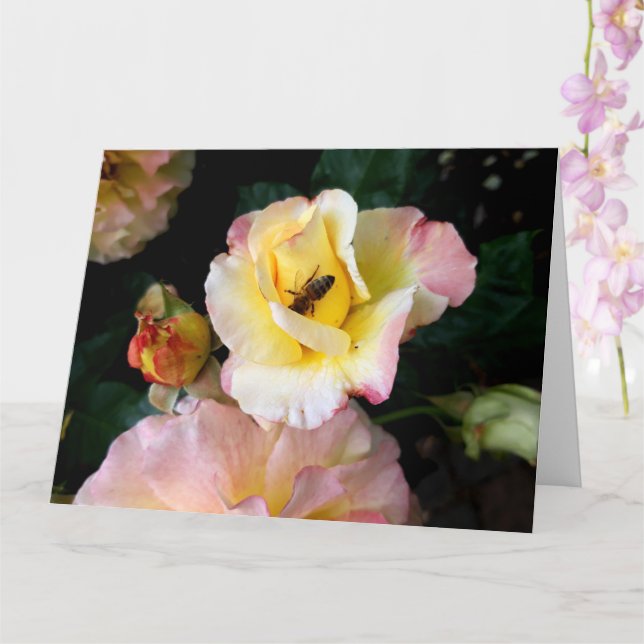 Carte Abeille sur roses rose jaune Fleurs (Orchidée)