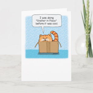 Carte Abri mignon et drôle en place Chat
