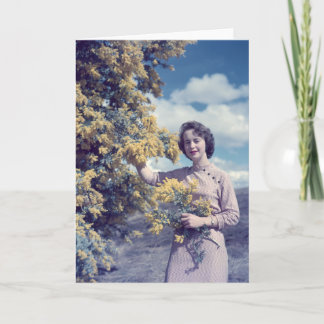 Carte Acacia à Canberra - rétro