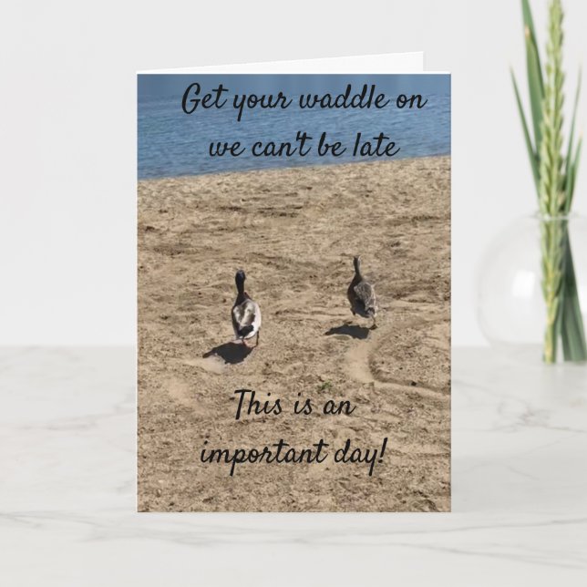 CARTE ***ACCEPTEZ VOTRE WADDLE SUR*** LES CANARDS DISENT (Devant)