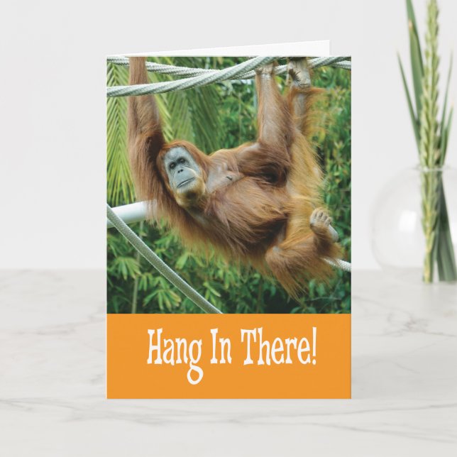 Carte Accroche-toi avec un drôle d'Orang-outan dans l'Ar (Devant)