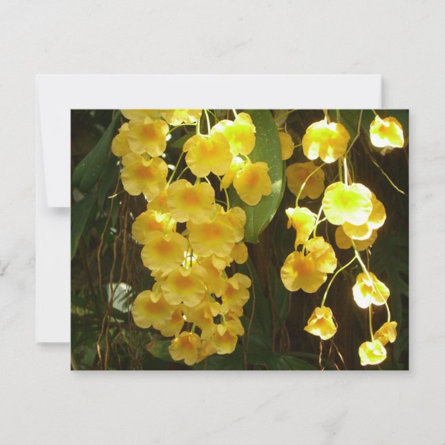 Carte Accrocher les orchidées jaunes Fleurs tropicales (Devant)