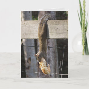 Carte Accrochez-Vous Là Bébé (Vierge À L'Intérieur)