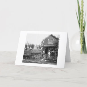 Carte Accueil Chats Fairbanks Alaska 1916