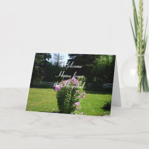 Carte Accueil de l'Hôpital-Jolie Fleurs Roses