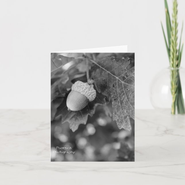 Carte Acorn (Devant)