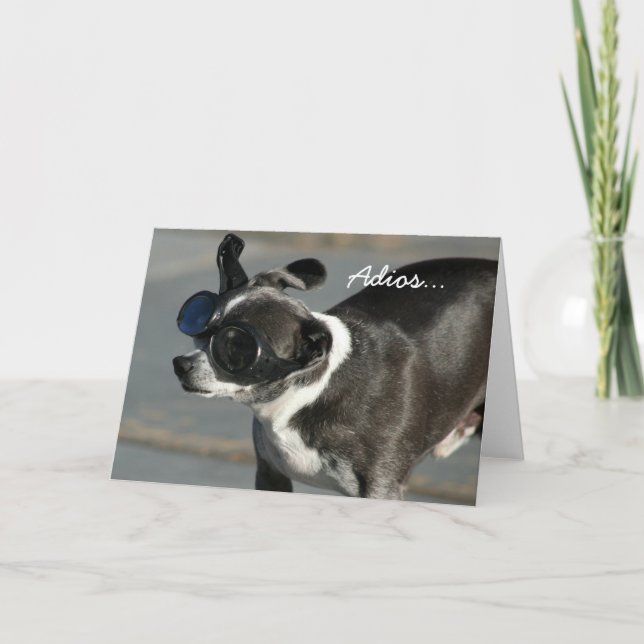 Carte Adios Good Bye chihuahua greeting card (Devant)