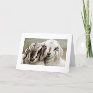 Carte adoption, adoption, adoption, photographie,
