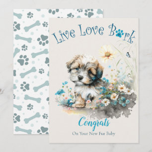 Carte Adoption de chien Havanais, Jour J'ai Craqué