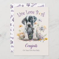 Adoption de Grand Danois, Jour J'ai Craqué