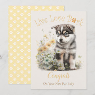 Carte Adoption de Malamute d'Alaska, Jour J'ai Craqué