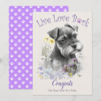 Adoption de Schnauzer, journée Gotcha