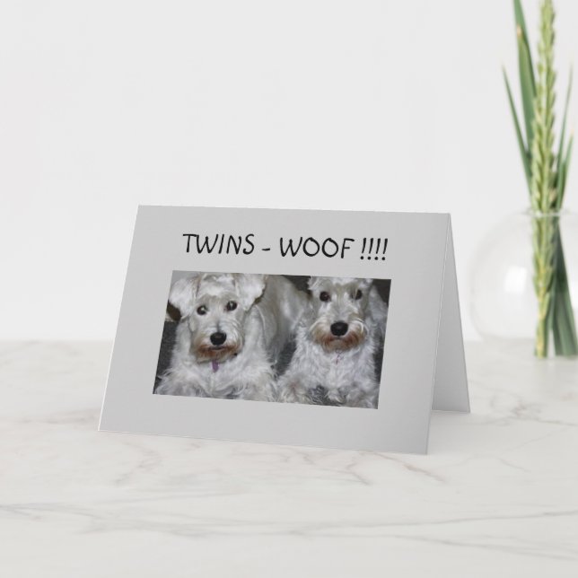 CARTE ADOPTION DE ***TWINS*** (Devant)