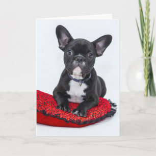 Carte Adorable Black and White Bulldog Puppy Photo
