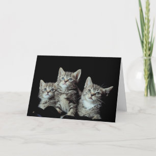 Carte Adorable chatons