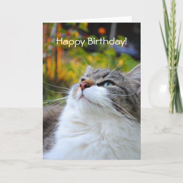 Carte adorable de joyeux anniversaire de chat de (Devant)