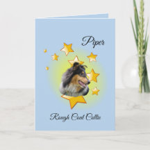 Adorable Manteau bleu rond Collie est une étoile