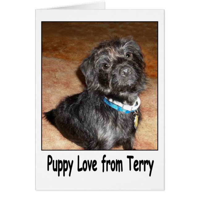 Carte adorable "Puppy Love From Terry" (Devant)