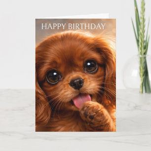 Carte Adorable Ruby Cavalier Spaniel