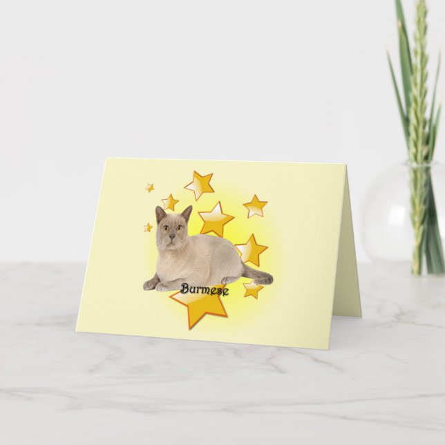 Carte Adorable Tan Chat birman dans les étoiles (Devant)