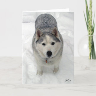 Carte Adoration totale, S Cyr