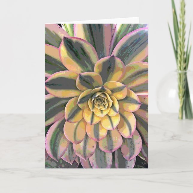 Carte Aeonium varié (Devant)