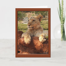 African Proverb Greeting Cards